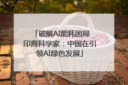 破解AI能耗困局 印裔科学家：中国在引领AI绿色发展