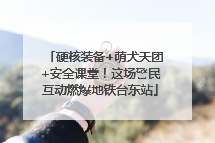 硬核装备+萌犬天团+安全课堂！这场警民互动燃爆地铁台东站