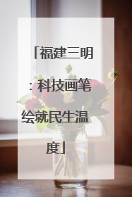 福建三明：科技画笔绘就民生温度