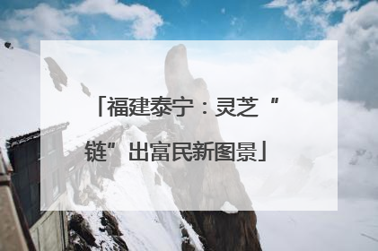 福建泰宁：灵芝“链”出富民新图景