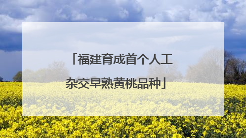 福建育成首个人工杂交早熟黄桃品种