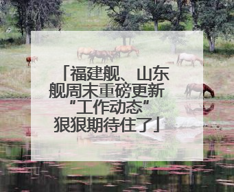 福建舰、山东舰周末重磅更新“工作动态” 狠狠期待住了