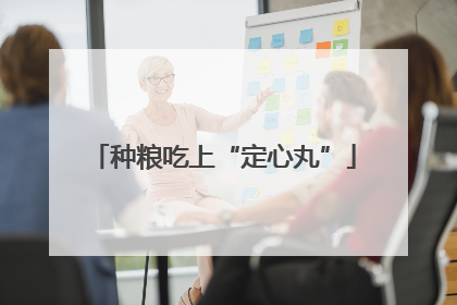 种粮吃上“定心丸”