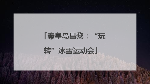秦皇岛昌黎：“玩转”冰雪运动会