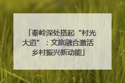 秦岭深处搭起“村光大道”：文旅融合激活乡村振兴新动能
