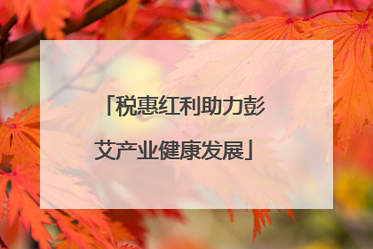 税惠红利助力彭艾产业健康发展