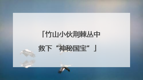 竹山小伙荆棘丛中救下“神秘国宝”