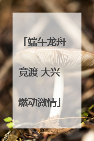 端午龙舟竞渡 大兴燃动激情