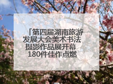 第四届湖南旅游发展大会美术书法摄影作品展开幕 180件佳作点燃岳阳文旅爆点