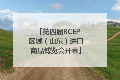 第四届RCEP区域（山东）进口商品博览会开幕