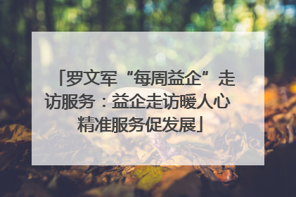 罗文军“每周益企”走访服务：益企走访暖人心 精准服务促发展