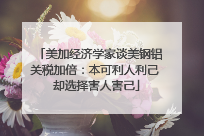 美加经济学家谈美钢铝关税加倍：本可利人利己 却选择害人害己
