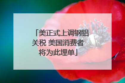 美正式上调钢铝关税 美国消费者将为此埋单