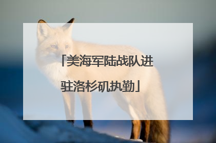 美海军陆战队进驻洛杉矶执勤