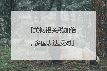 美钢铝关税加倍，多国表达反对