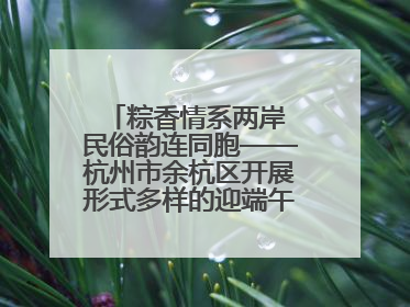 粽香情系两岸 民俗韵连同胞——杭州市余杭区开展形式多样的迎端午联谊活动