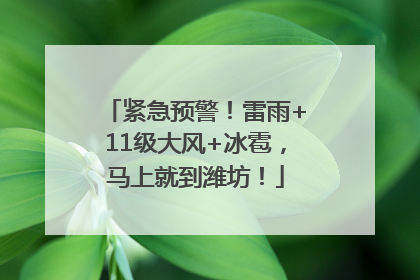 紧急预警！雷雨+11级大风+冰雹，马上就到潍坊！