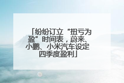 纷纷订立“扭亏为盈”时间表，蔚来、小鹏、小米汽车设定四季度盈利