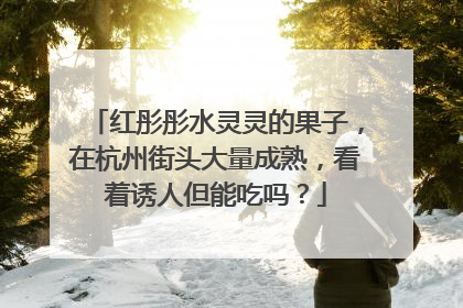 红彤彤水灵灵的果子，在杭州街头大量成熟，看着诱人但能吃吗？