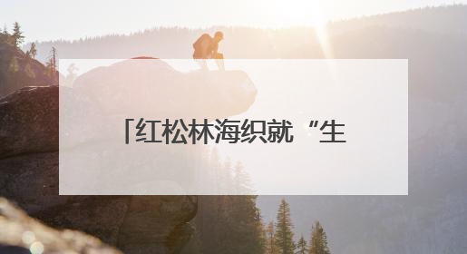 红松林海织就“生态+”富民画卷