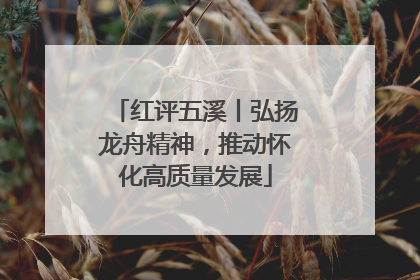 红评五溪丨弘扬龙舟精神，推动怀化高质量发展
