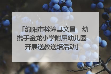 绵阳市梓潼县文昌一幼携手金龙小学附属幼儿园开展送教送培活动
