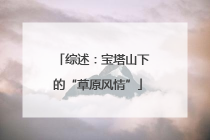 综述：宝塔山下的“草原风情”