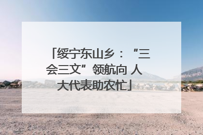绥宁东山乡：“三会三文”领航向 人大代表助农忙