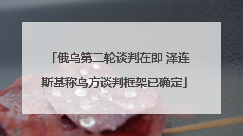 俄乌第二轮谈判在即 泽连斯基称乌方谈判框架已确定