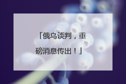 俄乌谈判，重磅消息传出！