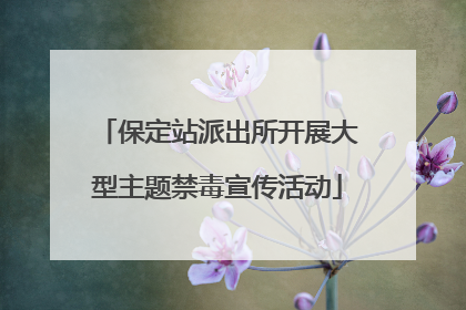 保定站派出所开展大型主题禁毒宣传活动
