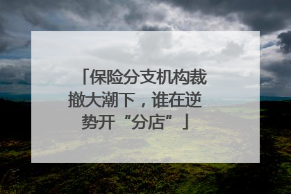 保险分支机构裁撤大潮下，谁在逆势开“分店”