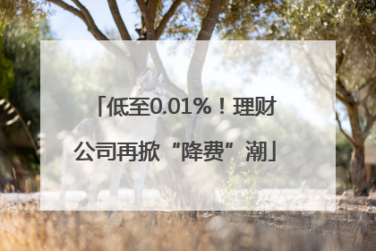 低至0.01%！理财公司再掀“降费”潮