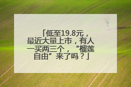 低至19.8元，最近大量上市，有人一买两三个，“榴莲自由”来了吗？