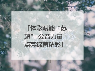 体彩赋能“苏超” 公益力量点亮绿茵精彩