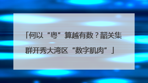 何以“粤”算越有数？韶关集群开秀大湾区“数字肌肉”