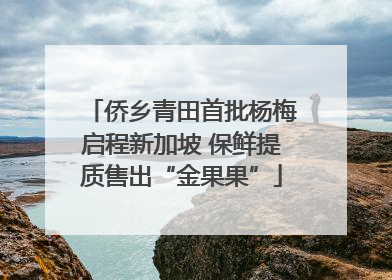 侨乡青田首批杨梅启程新加坡 保鲜提质售出“金果果”