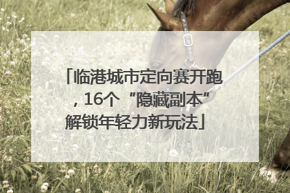 临港城市定向赛开跑，16个“隐藏副本”解锁年轻力新玩法
