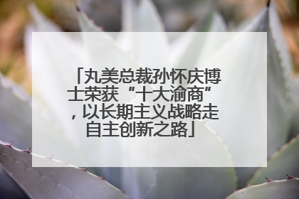 丸美总裁孙怀庆博士荣获“十大渝商”，以长期主义战略走自主创新之路