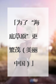 为了“海底草原”更繁茂（美丽中国）