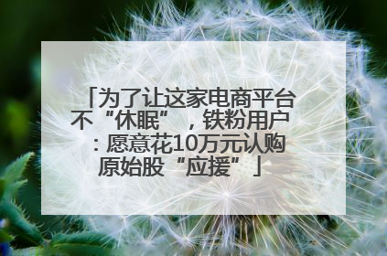 为了让这家电商平台不“休眠”，铁粉用户：愿意花10万元认购原始股“应援”