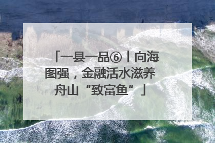 一县一品⑥丨向海图强，金融活水滋养舟山“致富鱼”