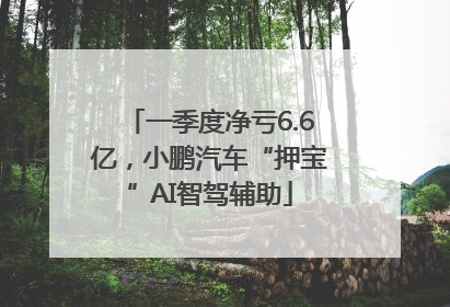 一季度净亏6.6亿，小鹏汽车“押宝”AI智驾辅助
