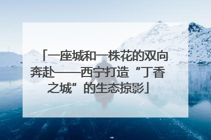 一座城和一株花的双向奔赴——西宁打造“丁香之城”的生态掠影