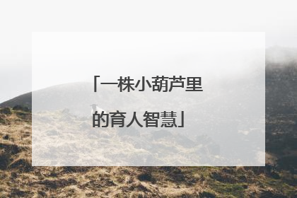 一株小葫芦里的育人智慧