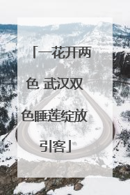 一花开两色 武汉双色睡莲绽放引客