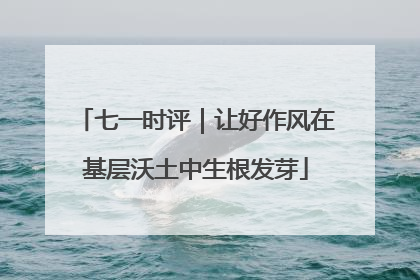 七一时评｜让好作风在基层沃土中生根发芽