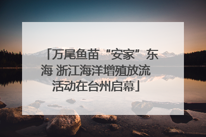 万尾鱼苗“安家”东海 浙江海洋增殖放流活动在台州启幕