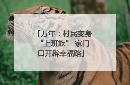 万年：村民变身“上班族” 家门口开辟幸福路