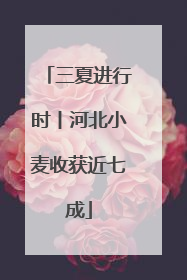 三夏进行时丨河北小麦收获近七成